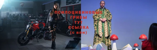 прущая мука Дмитриев
