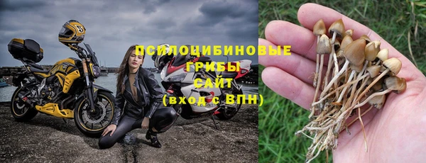 прущая мука Дмитриев