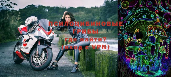 прущая мука Дмитриев