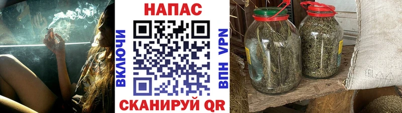 Бошки марихуана семена  Купить  Ростов 